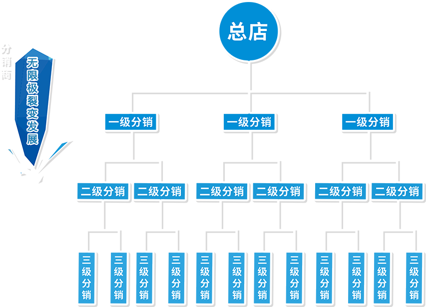 品牌分销商网络